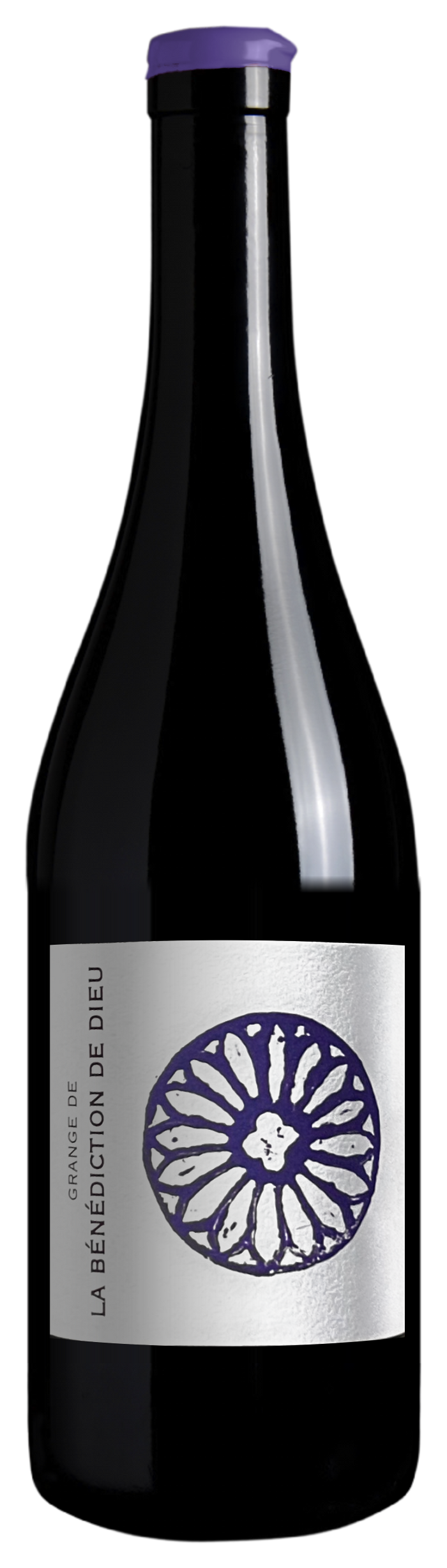 Assemblage Gamay Saint-Romain - Syrah